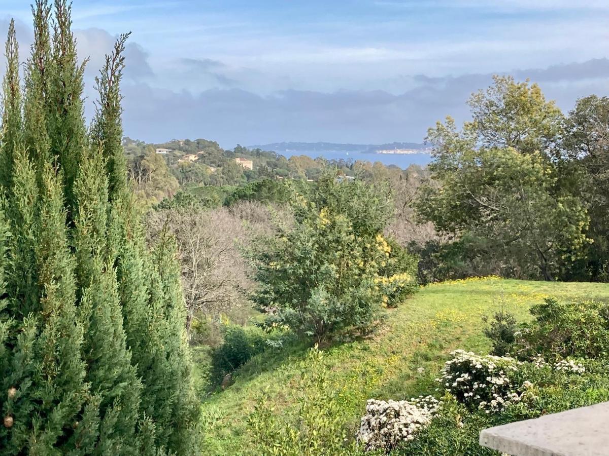 Les Restanques Maison 14 Chenes Grimaud Esterno foto